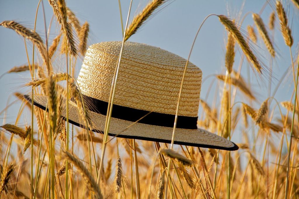 Verzameling van verschillende modellen zomerhoeden voor dames, inclusief strohoed en floppy hoed in diverse kleuren en stijle