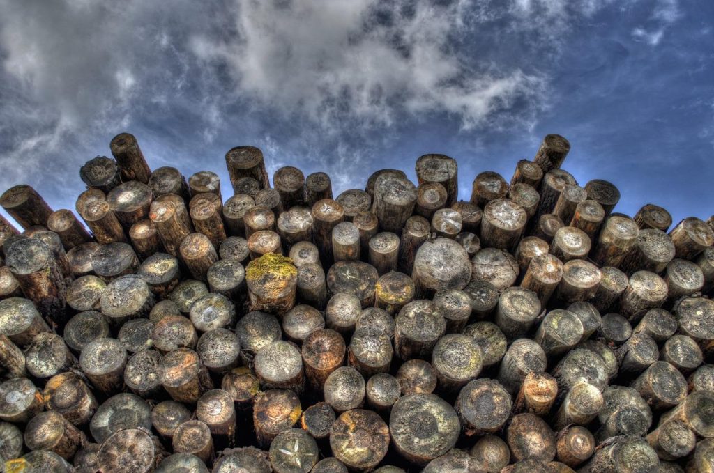 Houthandel in Gorinchem met selectie duurzaam hout voor doe-het-zelf projecten en professionele toepassingen